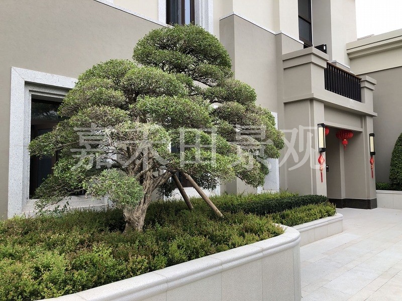 別墅景觀設(shè)計(jì)綠化環(huán)境分為哪幾部分？